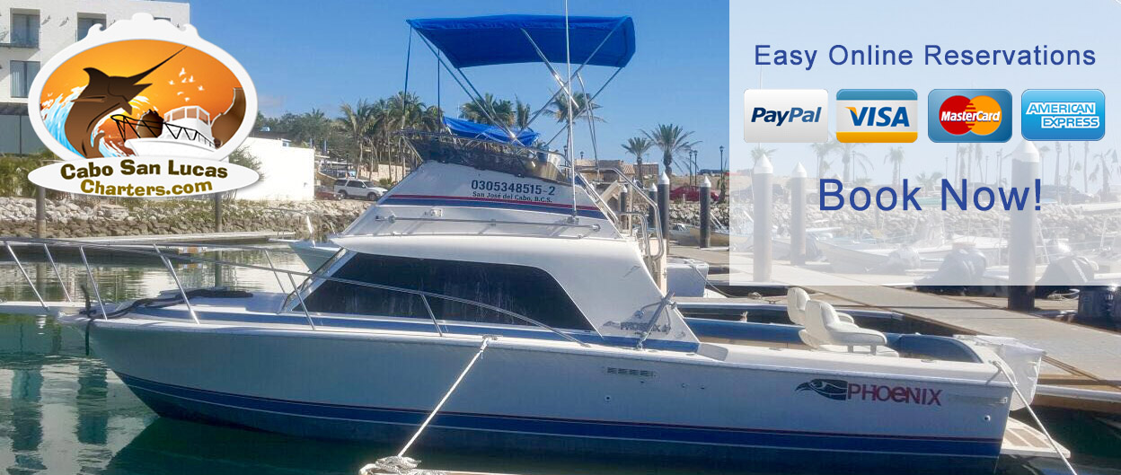 Online Reservation - Cabo San Lucas Charters