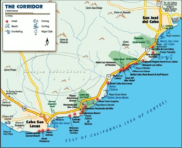 Dock Map - Cabo San Lucas Charters