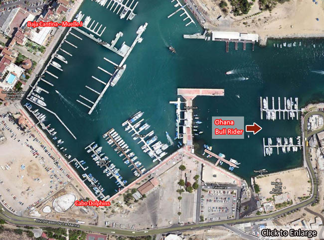 Dock Map - Cabo San Lucas Charters