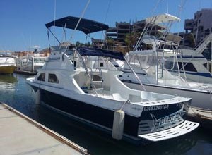 28Ft Blue Tail - Cabo San Lucas Charters